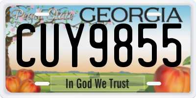 GA license plate CUY9855