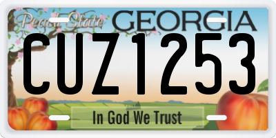 GA license plate CUZ1253