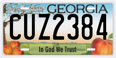 GA license plate CUZ2384