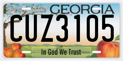 GA license plate CUZ3105