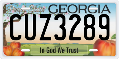 GA license plate CUZ3289