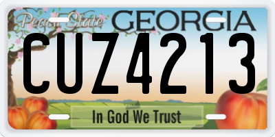 GA license plate CUZ4213