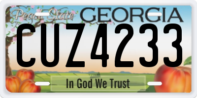 GA license plate CUZ4233