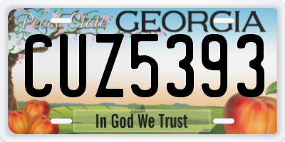 GA license plate CUZ5393