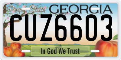 GA license plate CUZ6603