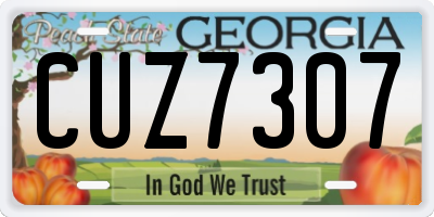 GA license plate CUZ7307