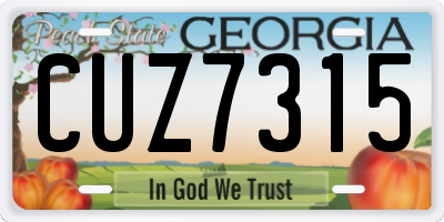 GA license plate CUZ7315