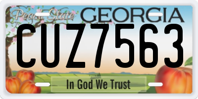 GA license plate CUZ7563