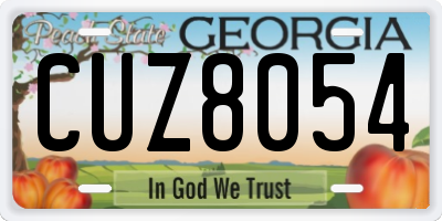 GA license plate CUZ8054