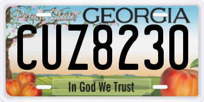 GA license plate CUZ8230