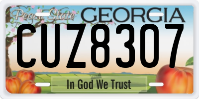 GA license plate CUZ8307