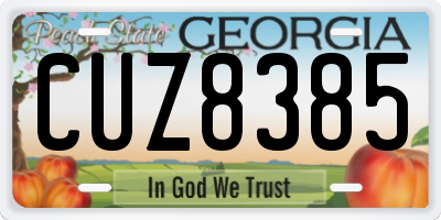 GA license plate CUZ8385