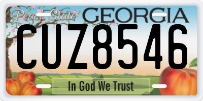 GA license plate CUZ8546