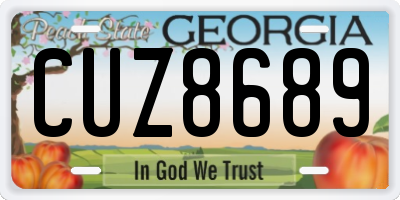 GA license plate CUZ8689