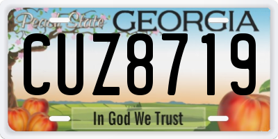 GA license plate CUZ8719