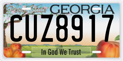 GA license plate CUZ8917