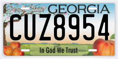 GA license plate CUZ8954