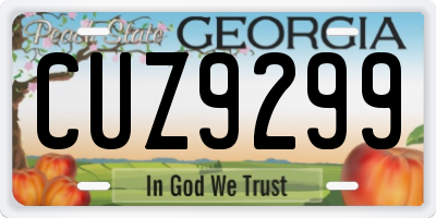 GA license plate CUZ9299