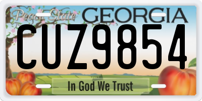 GA license plate CUZ9854