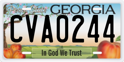 GA license plate CVA0244