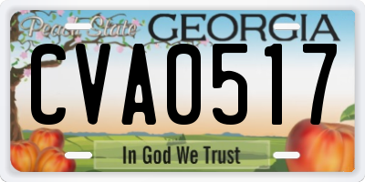 GA license plate CVA0517