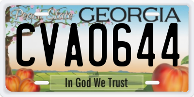 GA license plate CVA0644