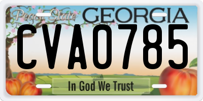 GA license plate CVA0785