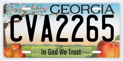 GA license plate CVA2265