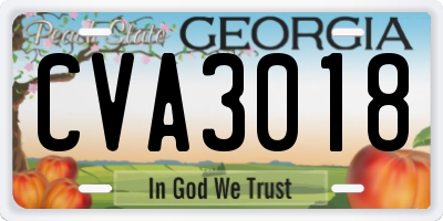 GA license plate CVA3018