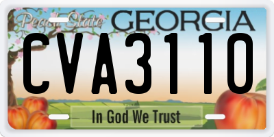 GA license plate CVA3110
