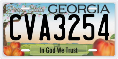 GA license plate CVA3254