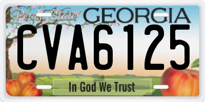 GA license plate CVA6125