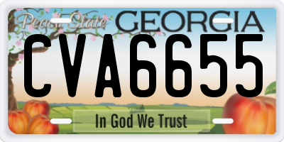 GA license plate CVA6655