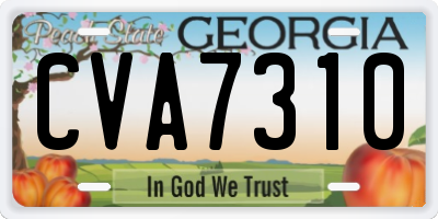 GA license plate CVA7310
