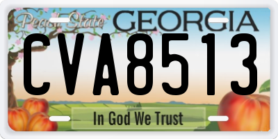 GA license plate CVA8513