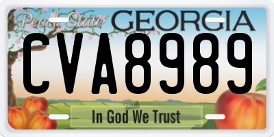 GA license plate CVA8989