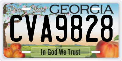 GA license plate CVA9828
