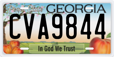 GA license plate CVA9844