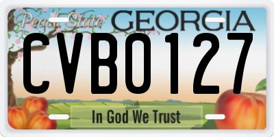GA license plate CVB0127