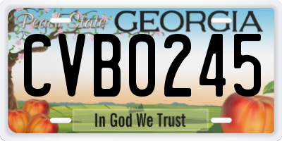 GA license plate CVB0245