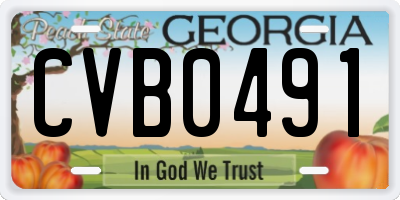 GA license plate CVB0491