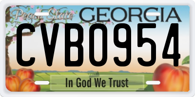 GA license plate CVB0954