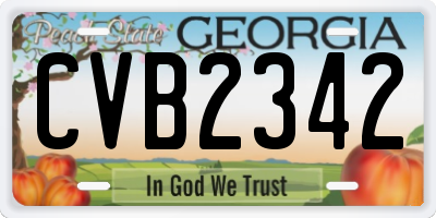 GA license plate CVB2342