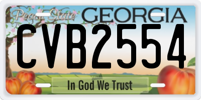 GA license plate CVB2554