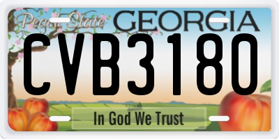 GA license plate CVB3180