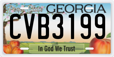 GA license plate CVB3199