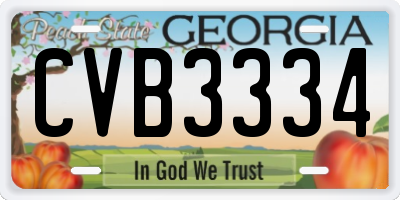 GA license plate CVB3334