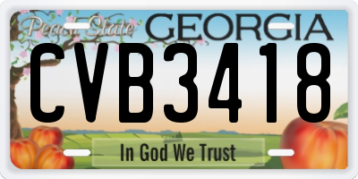 GA license plate CVB3418