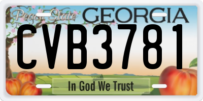 GA license plate CVB3781