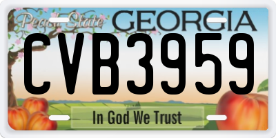 GA license plate CVB3959